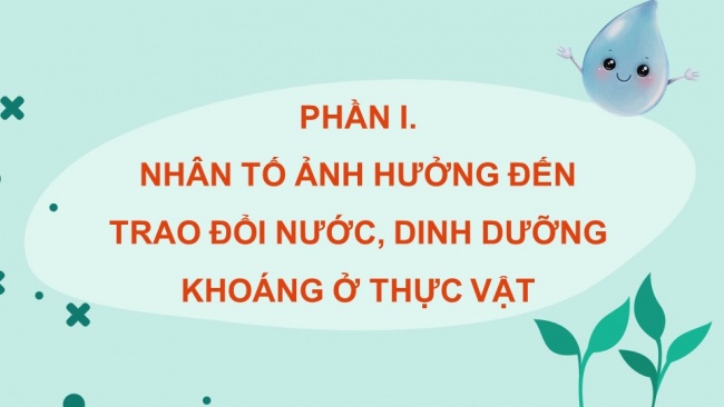 Soạn giáo án điện tử sinh học 11 Cánh diều  Bài 3: Các nhân tố ảnh hưởng đến trao đổi nước và khoáng ở thực vật