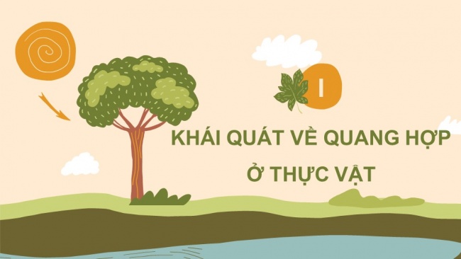 Soạn giáo án điện tử sinh học 11 Cánh diều  Bài 4: Quang hợp ở thực vật (P1)