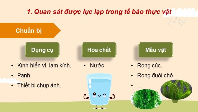 Soạn giáo án điện tử sinh học 11 Cánh diều  Bài 4: Quang hợp ở thực vật (P2)