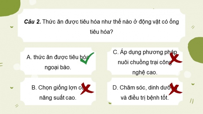 Soạn giáo án điện tử sinh học 11 Cánh diều  Bài 6: Dinh dưỡng và tiêu hoá ở động vật (P2)