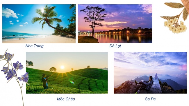 Soạn giáo án điện tử mĩ thuật 4 KNTT Chủ đề 3: Cảnh đẹp quê hương