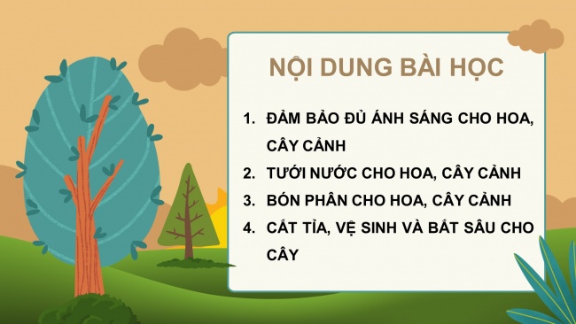 Soạn giáo án điện tử công nghệ 4 KNTT bài 6: Chăm sóc hoa, cây cảnh trong chậu