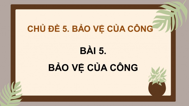 Soạn giáo án điện tử đạo đức 4 KNTT Bài 5: Bảo vệ của công