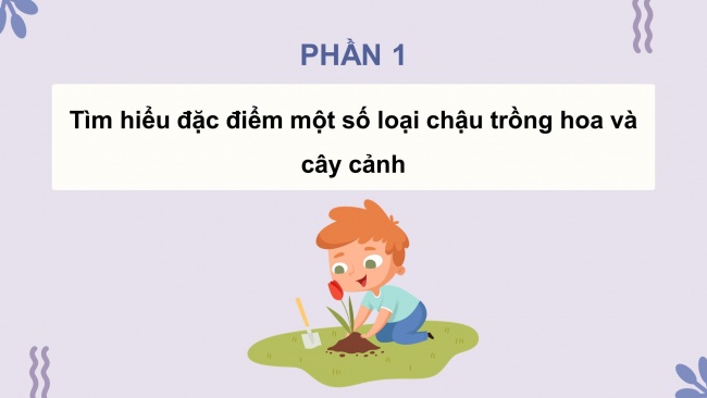 Soạn giáo án điện tử công nghệ 4 CTST Bài 2: Vật liệu, dụng cụ trồng hoa và cây cảnh trong chậu