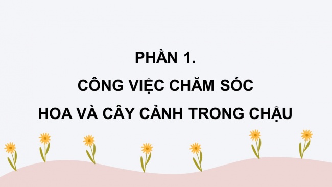 Soạn giáo án điện tử công nghệ 4 CTST Bài 5: Chăm sóc hoa, cây cảnh trong chậu