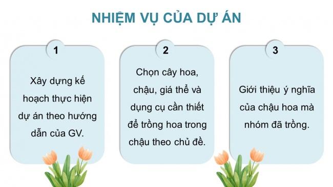 Soạn giáo án điện tử công nghệ 4 CTST Dự án 1: Em trồng hoa trang trí lớp học