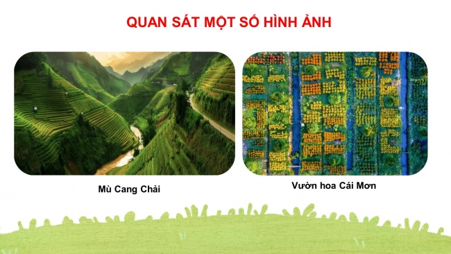 Soạn giáo án điện tử mĩ thuật 4 CTST bản 2 Bài 5: Phong cảnh quê hương