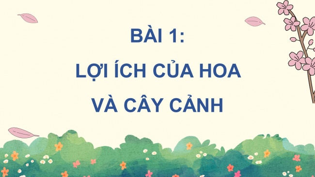 Soạn giáo án điện tử công nghệ 4 cánh diều Bài 1: Lợi ích của hoa và cây cảnh