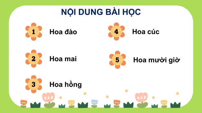 Soạn giáo án điện tử công nghệ 4 cánh diều Bài 2: Một số loại hoa phổ biến