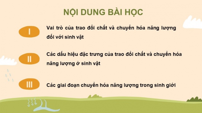 Soạn giáo án điện tử sinh học 11 KNTT Bài 1: Khái quát về trao đổi chất và chuyển hóa năng lượng