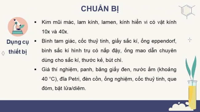 Soạn giáo án điện tử sinh học 11 KNTT Bài 5 Thực hành: Quang hợp ở thực vật