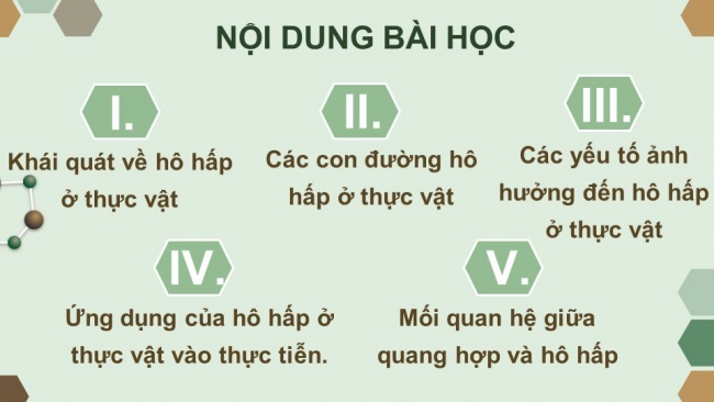 Soạn giáo án điện tử sinh học 11 KNTT Bài 6: Hô hấp ở thực vật (P1)