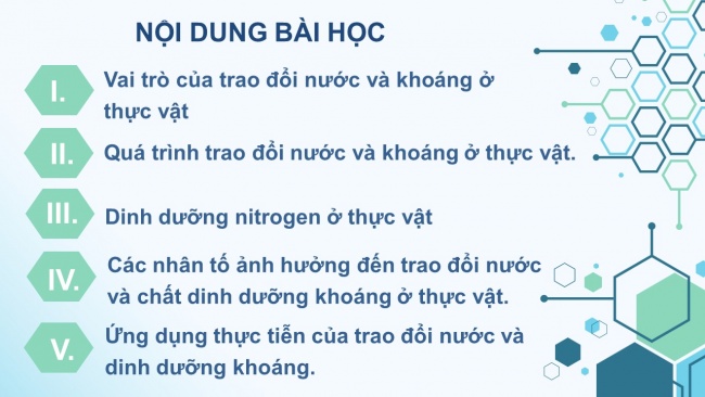 Soạn giáo án điện tử sinh học 11 CTST Bài 2: Trao đổi nước và khoáng ở thực vật (P1)