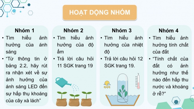 Soạn giáo án điện tử sinh học 11 CTST Bài 2: Trao đổi nước và khoáng ở thực vật (P2)