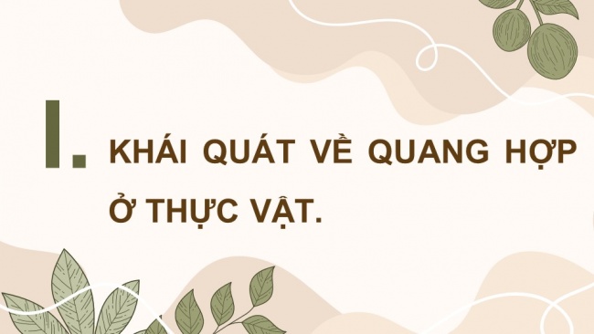 Soạn giáo án điện tử sinh học 11 CTST Bài 4: Quang hợp ở thực vật (P1)