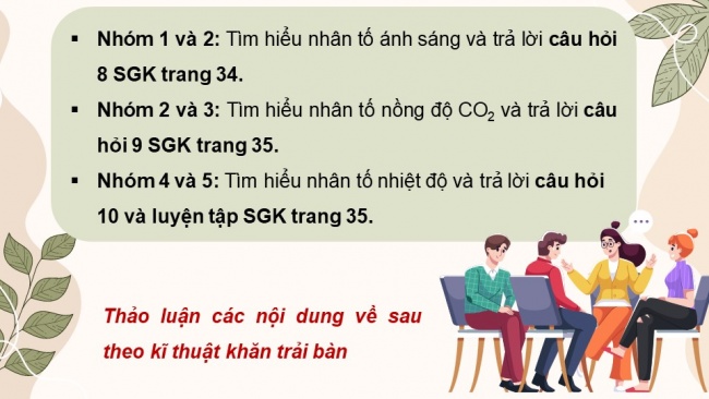 Soạn giáo án điện tử sinh học 11 CTST Bài 4: Quang hợp ở thực vật (P2)