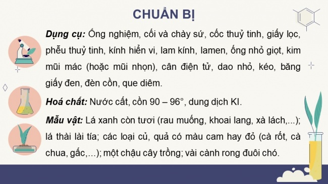 Soạn giáo án điện tử sinh học 11 CTST Bài 5: Thực hành: Quan sát lục lạp và tách chiết sắc tố; chứng minh sự hình thành sản phẩm