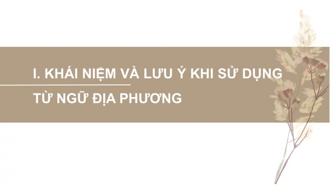 Soạn giáo án điện tử Ngữ văn 8 KNTT Bài 1 TH tiếng Việt: Từ ngữ địa phương