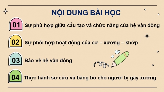 Soạn giáo án điện tử KHTN 8 CD Bài 28: Hệ vận động ở người