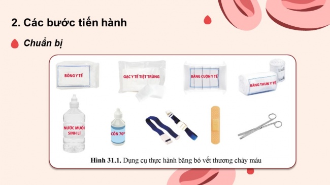 Soạn giáo án điện tử KHTN 8 CD Bài 31: Thực hành về máu và hệ tuần hoàn