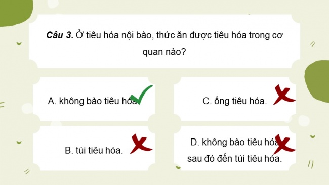 Soạn giáo án điện tử sinh học 11 Cánh diều  Bài 6: Dinh dưỡng và tiêu hoá ở động vật (P2)