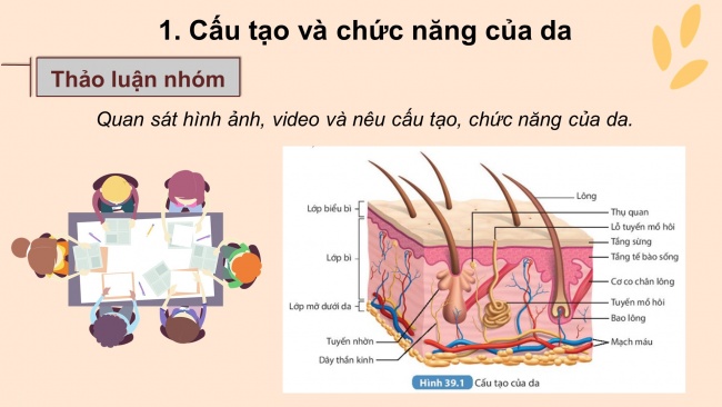 Bài giảng điện tử sinh học 8 kết nối tri thức