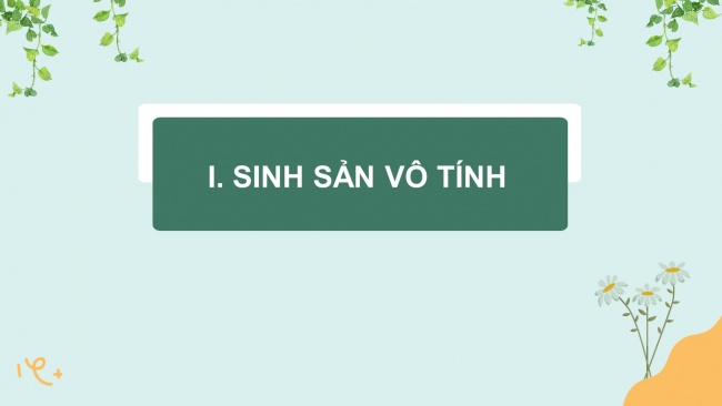 Bài giảng điện tử sinh học 11 kết nối tri thức