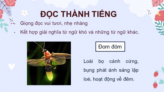 Soạn giáo án điện tử Tiếng Việt 4 CD Bài 7 Đọc 4: Anh đom đóm