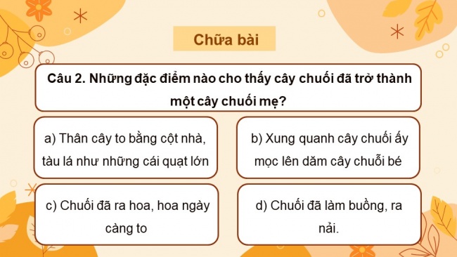 Soạn giáo án điện tử Tiếng Việt 4 CD Bài 10: Ôn tập cuối học kì 1 - Tiết 6, 7