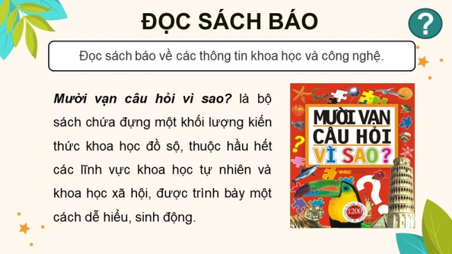 Soạn giáo án điện tử tiếng việt 4 KNTT Bài 20 Đọc mở rộng