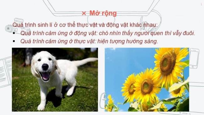 Tải bài giảng điện tử sinh học 6 kết nối tri thức