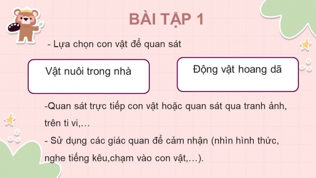 Soạn giáo án điện tử tiếng việt 4 KNTT Bài 26: Viết Quan sát con vật