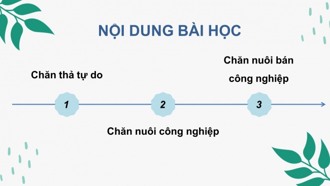 Bài giảng điện tử công nghệ chăn nuôi 11 cánh diều