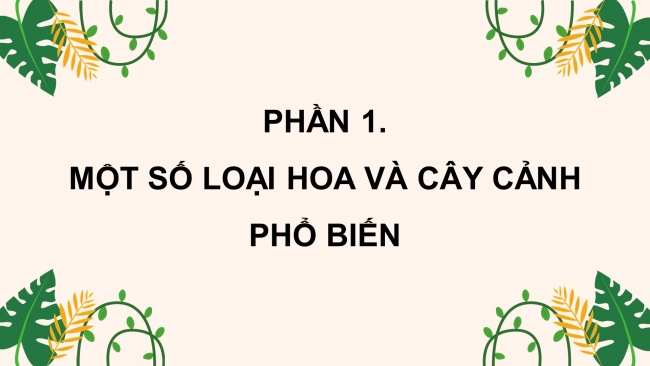 Bài giảng điện tử công nghệ 4 chân trời sáng tạo