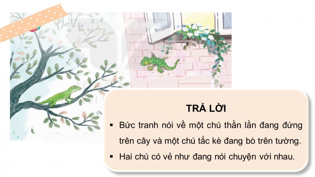 Soạn giáo án điện tử tiếng việt 4 KNTT Bài 5 Đọc: Thằn lằn xanh và tắc kè