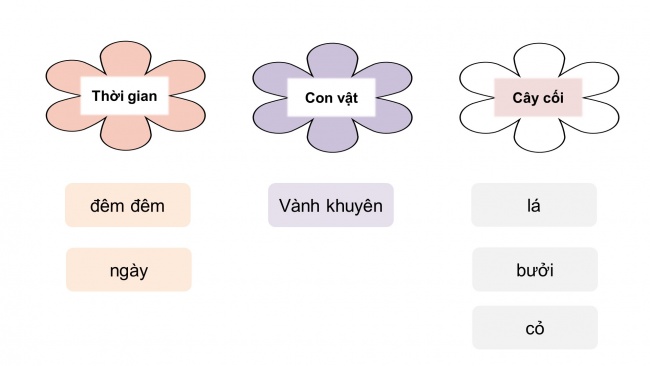 Soạn giáo án điện tử tiếng việt 4 KNTT Bài 5 Luyện từ và câu: Luyện tập về danh từ