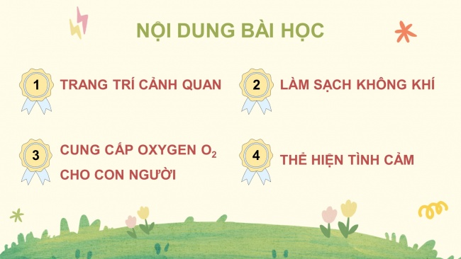 Soạn giáo án điện tử công nghệ 4 KNTT bài 1: Lợi ích của hoa, cây cảnh đối với đời sống