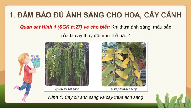 Soạn giáo án điện tử công nghệ 4 KNTT bài 6: Chăm sóc hoa, cây cảnh trong chậu