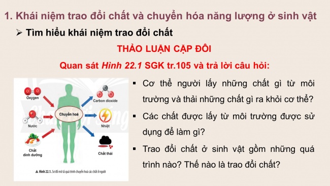 Bài giảng Powerpoint khoa học tự nhiên 7 chân trời sáng tạo