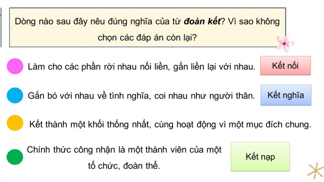 Soạn giáo án điện tử tiếng việt 4 CTST CĐ 1 Bài 8 Luyện từ và câu: Mở rộng vốn từ Đoàn kết