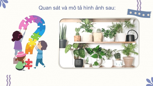 Soạn giáo án điện tử công nghệ 4 CTST Bài 2: Vật liệu, dụng cụ trồng hoa và cây cảnh trong chậu