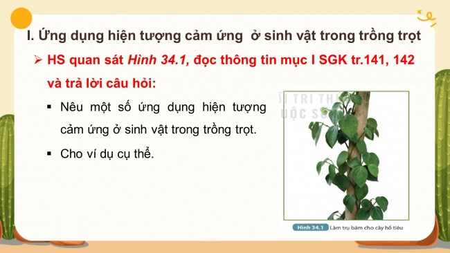 Bài giảng Powerpoint khoa học tự nhiên 7 kết nối tri thức