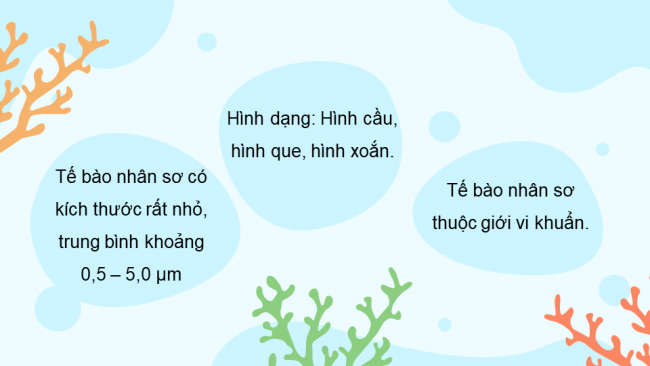 Bài giảng Powerpoint sinh học 10 cánh diều