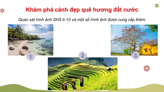 Soạn giáo án điện tử mĩ thuật 4 CTST bản 1 Bài 2: Phong cảnh quê em