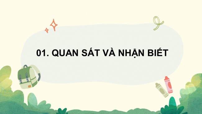 Soạn giáo án điện tử mĩ thuật 4 cánh diều Bài 1: Đậm, nhạt khác nhau của màu