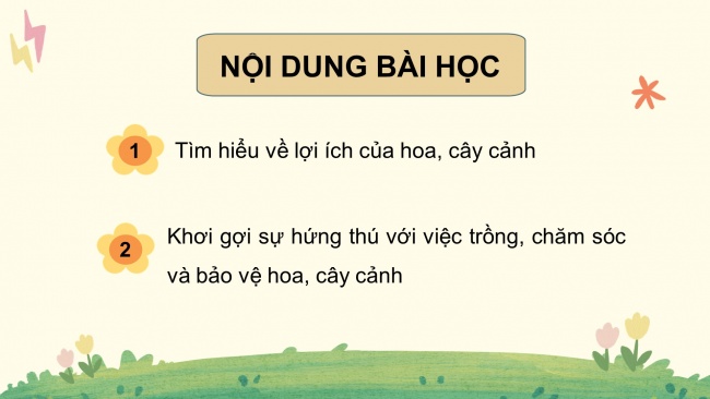 Soạn giáo án điện tử công nghệ 4 cánh diều Bài 1: Lợi ích của hoa và cây cảnh