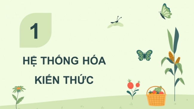 Soạn giáo án điện tử Công nghệ chăn nuôi 11 KNTT: Ôn tập chương 1