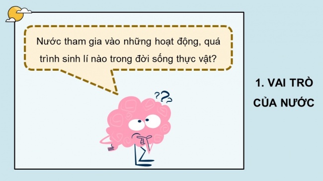 Soạn giáo án điện tử sinh học 11 KNTT Bài 2: Trao đổi nước và khoáng ở thực vật