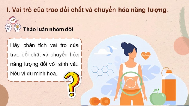 Soạn giáo án điện tử sinh học 11 CTST Bài 1: Khái quát về trao đổi chất và chuyển hoá năng lượng ở sinh vật