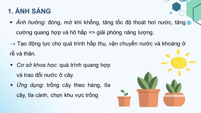 Soạn giáo án điện tử sinh học 11 CTST Bài 2: Trao đổi nước và khoáng ở thực vật (P2)